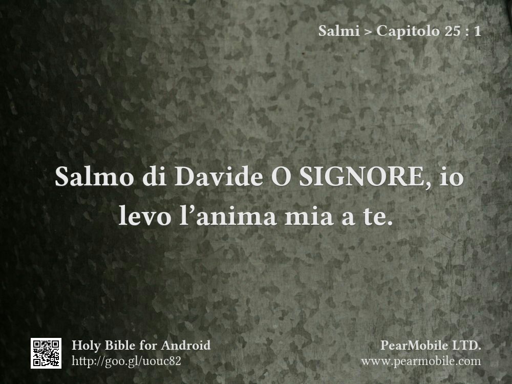 Salmi, Capitolo 25:1